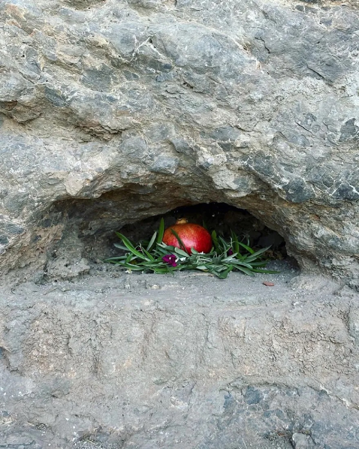 Μαρίζα Τομέι