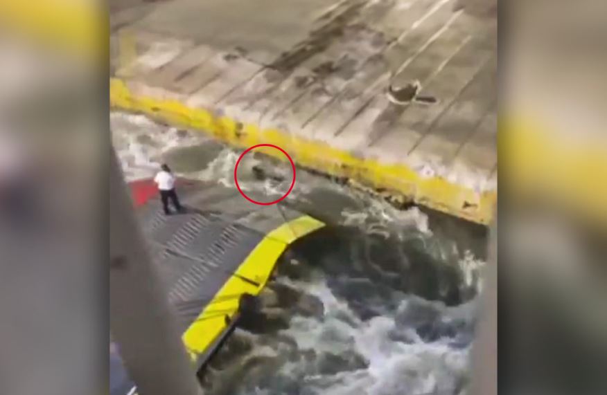 Ανθρωπιά αγνοείται: Απόλυτη φρίκη στο λιμάνι του Πειραιά, πέταξαν 36χρονο στη θάλασσα