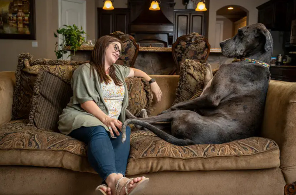 Πέθανε ο «Δίας», ο ψηλότερος σκύλος στον κόσμο (vid)