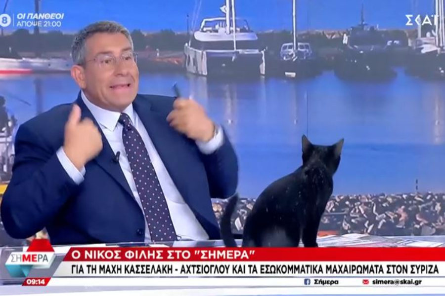 Μαύρη γάτα μπήκε στο στούντιο του ΣΚΑΪ και διέκοψε την ανάλυση του Φίλη για τα εσωκομματικά του ΣΥΡΙΖΑ (vid)
