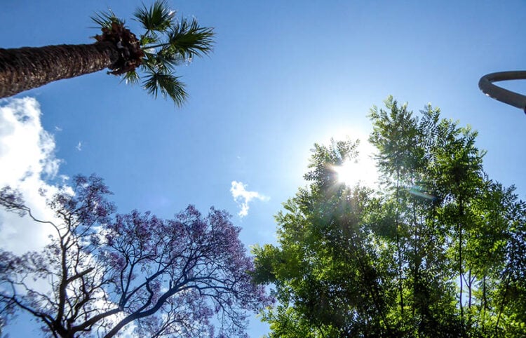 Meteo: Ο θερμότερος Νοέμβριος τα τελευταία 15 χρόνια σε Θεσσαλία, Πελοπόννησο, Κρήτη και νησιά Αιγαίου