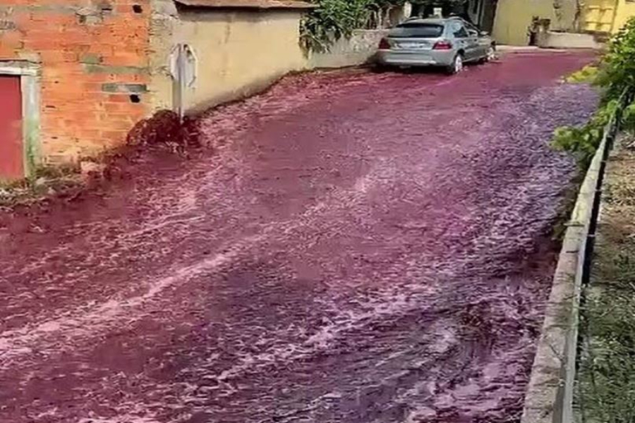 Το «κόκκινο ποτάμι» – Χωριό στην Πορτογαλία πλημμύρισε από 2,2 εκατ. λίτρα κρασί (vid)