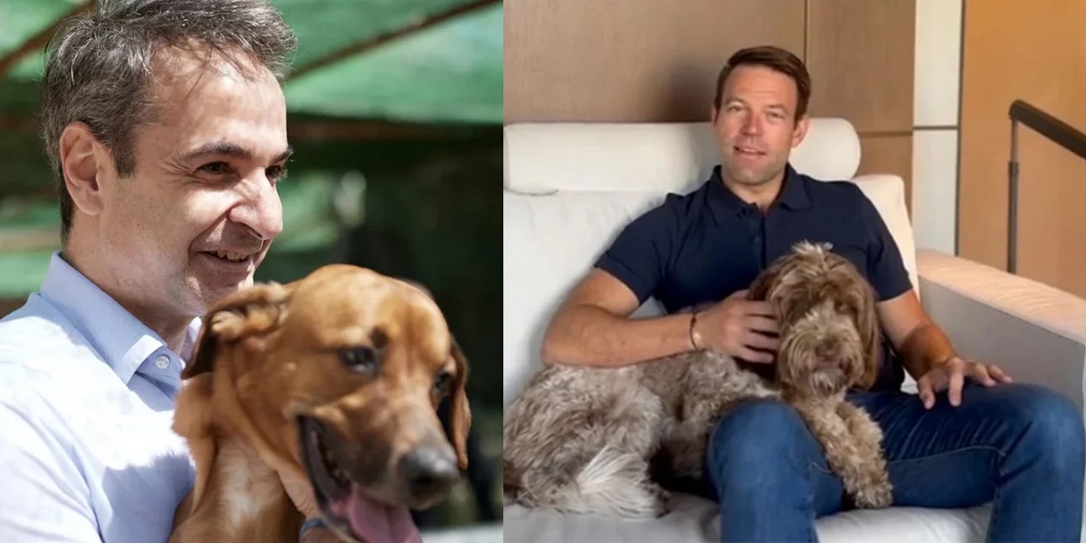 Παρασκήνιο: Η Φάρλη και το «κομματόσκυλο» ο Πίνατ – Τι ρώτησε ο Μητσοτάκης για το σκυλί του Κασσελάκη