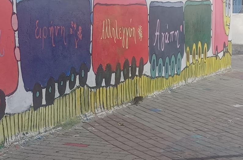 Αρουραίοι σουλατσάρουν δίπλα στους μαθητές σε Δημοτικό σχολείο στην Καισαριανή