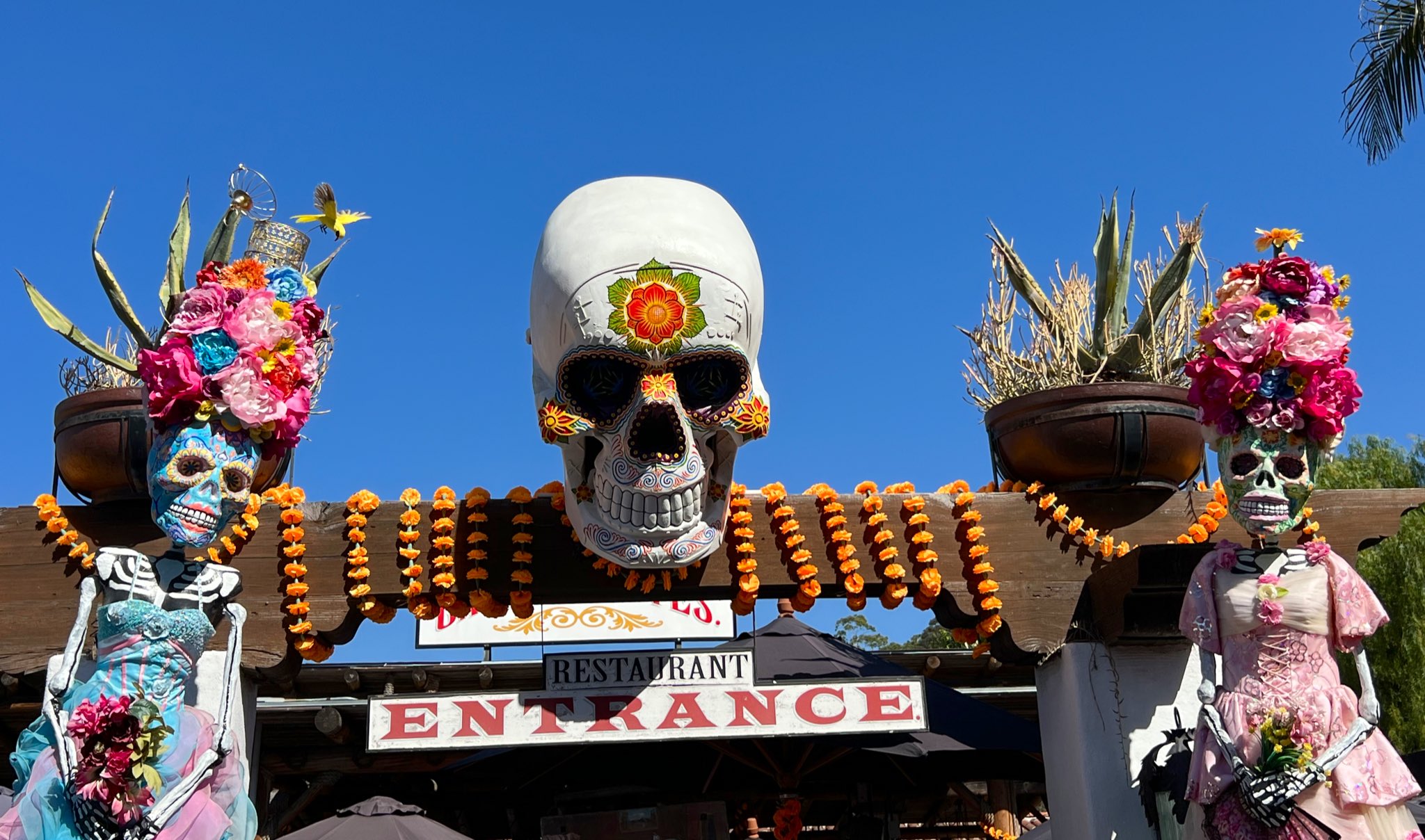 Dia de Los Muertos: Μια παράδοση αιώνων για την πιο ξεχωριστή ημέρα στο Μεξικό