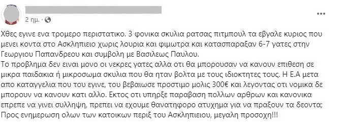 πίτμπουλ