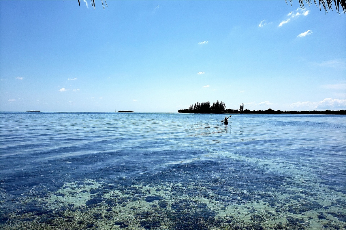 «Απατεώνας της πανδημίας» στις ΗΠΑ: Πήρε επιδότηση για τον κορονοϊό και αγόρασε νησί στη Φλόριντα