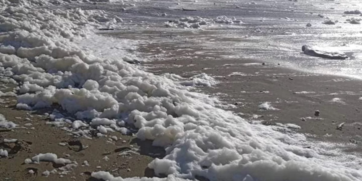 Κρήτη: Γέμισε αφρούς παραλία – Το εντυπωσιακό φαινόμενο «Capuccino coast»