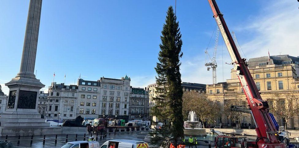 Κάτι λείπει από το χριστουγεννιάτικο δέντρο στην Trafalgar Square: Τρολάρισμα στα social media – «Πού πήγε το υπόλοιπο»