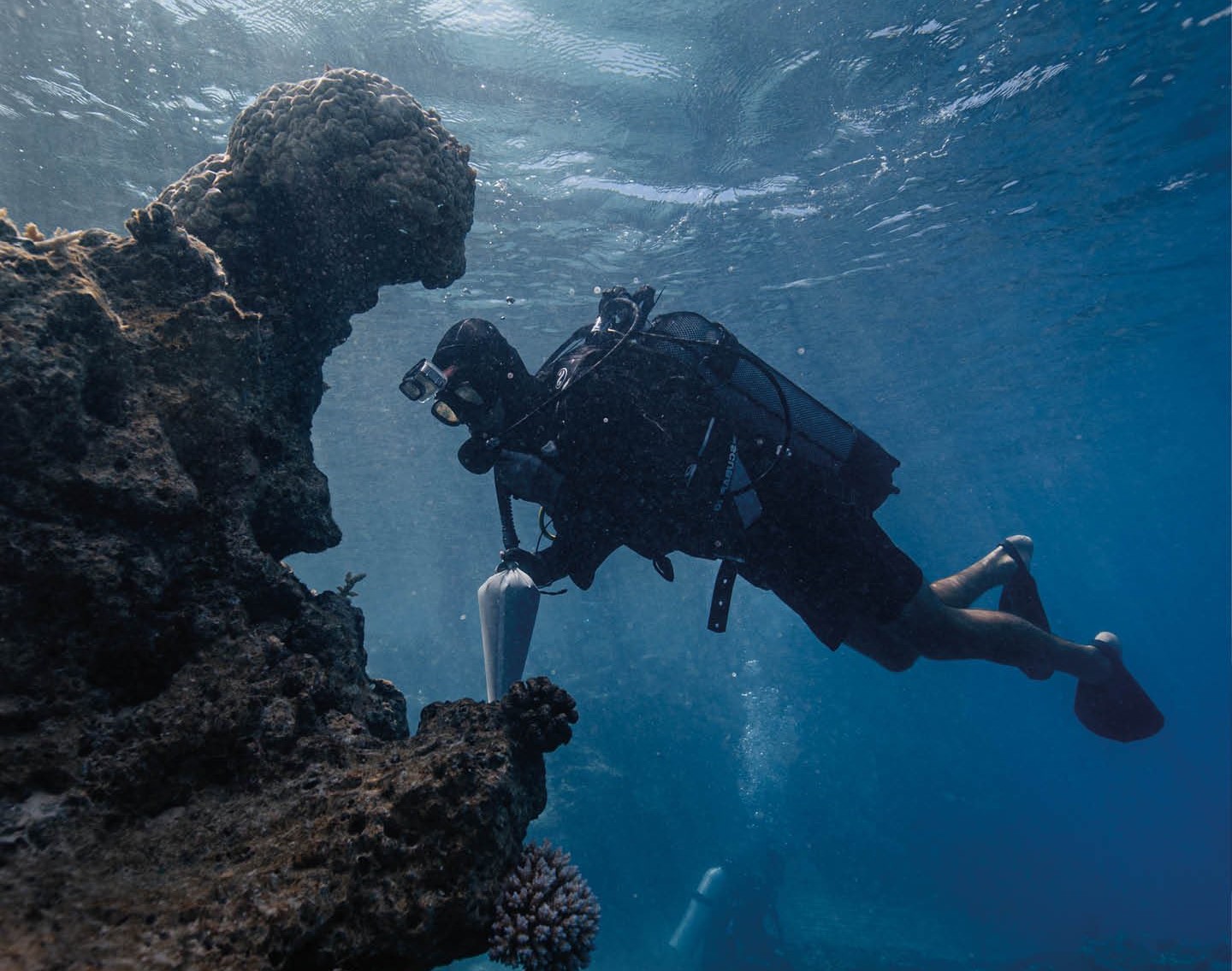 Ο «Aquaman» της Γαλλικής Πολυνησίας: Ένας 25χρονος σώζει τα κοράλλια με τη βοήθεια του Τζέισον Μομόα