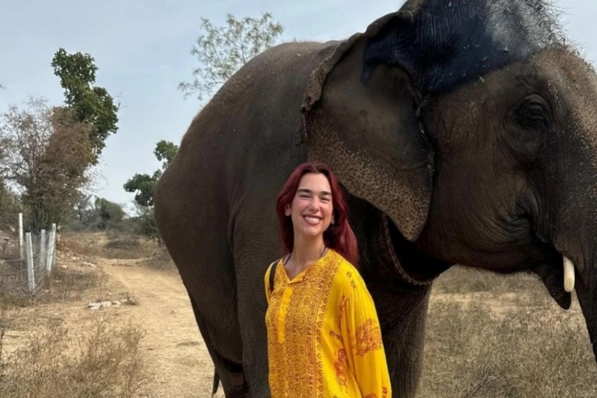 Ντούα Λίπα: Χαμογελαστή δίπλα σε έναν ελέφαντα η ποπ σταρ – Οι φωτογραφίες της από την Ινδία