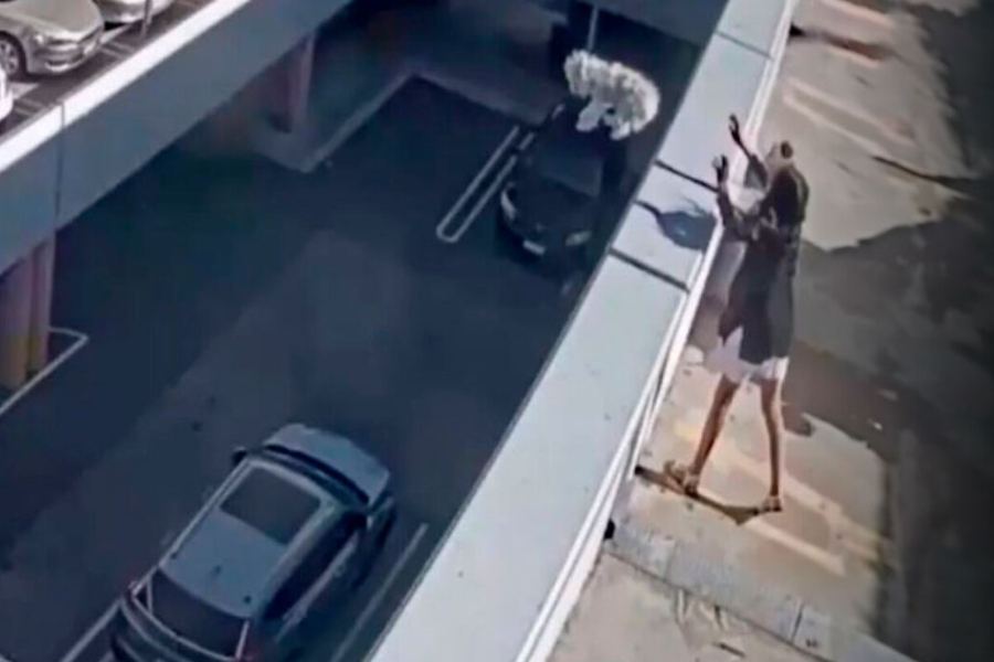 Σοκάρει το βίντεο με νεαρή στην Αυστραλία να πετά το σκυλάκι της από ταράτσα – «Της έκανα χάρη, μια ζωή την κακοποιούσα»