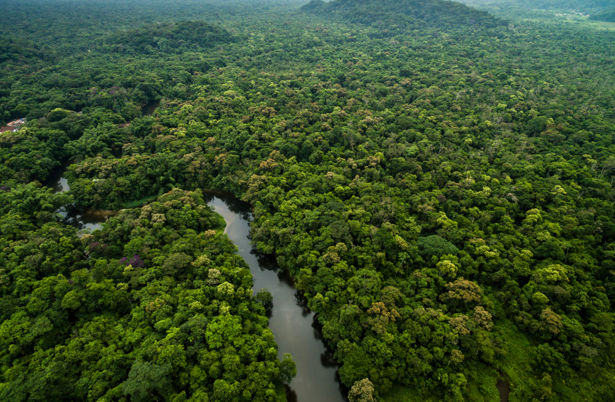 Αμαζόνιος: Η «σκοτεινή γη» αποκαλύπτει τα μυστικά του τροπικού δάσους
