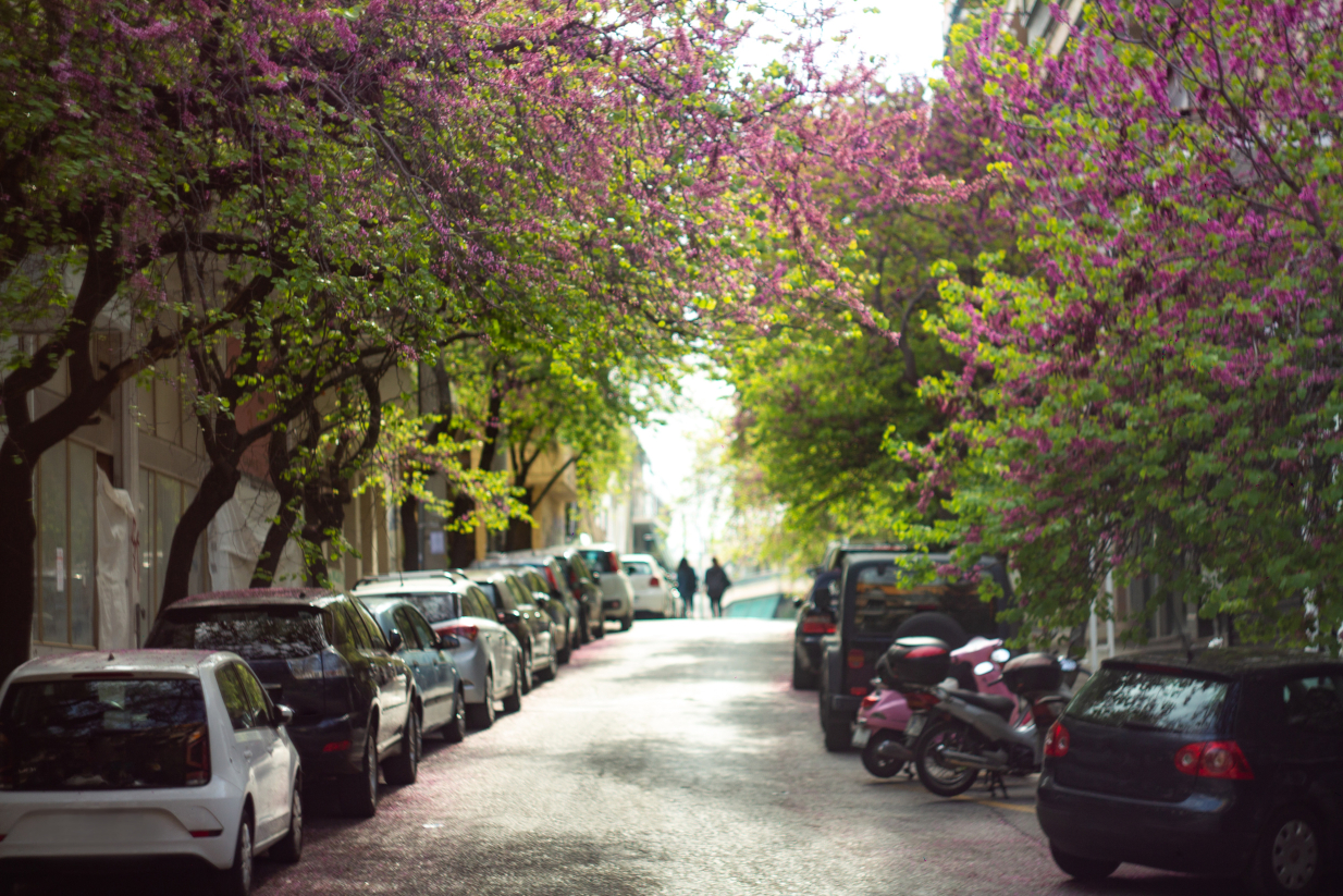 Η Αθήνα αναδείχθηκε ως η πιο μυρωδάτη πόλη στην Ευρώπη, πιο πάνω κι από το Παρίσι