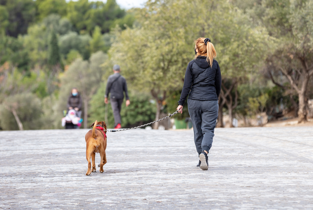 καλύτερες περιοχές για σπίτι στην Αθήνα