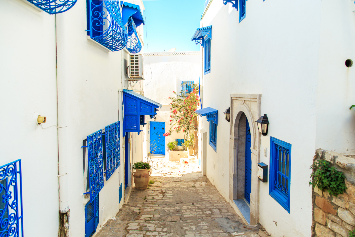 Σίντι Μπου Σαΐντ, μια πόλη στην Τυνησία που θυμίζει ελληνικό νησί