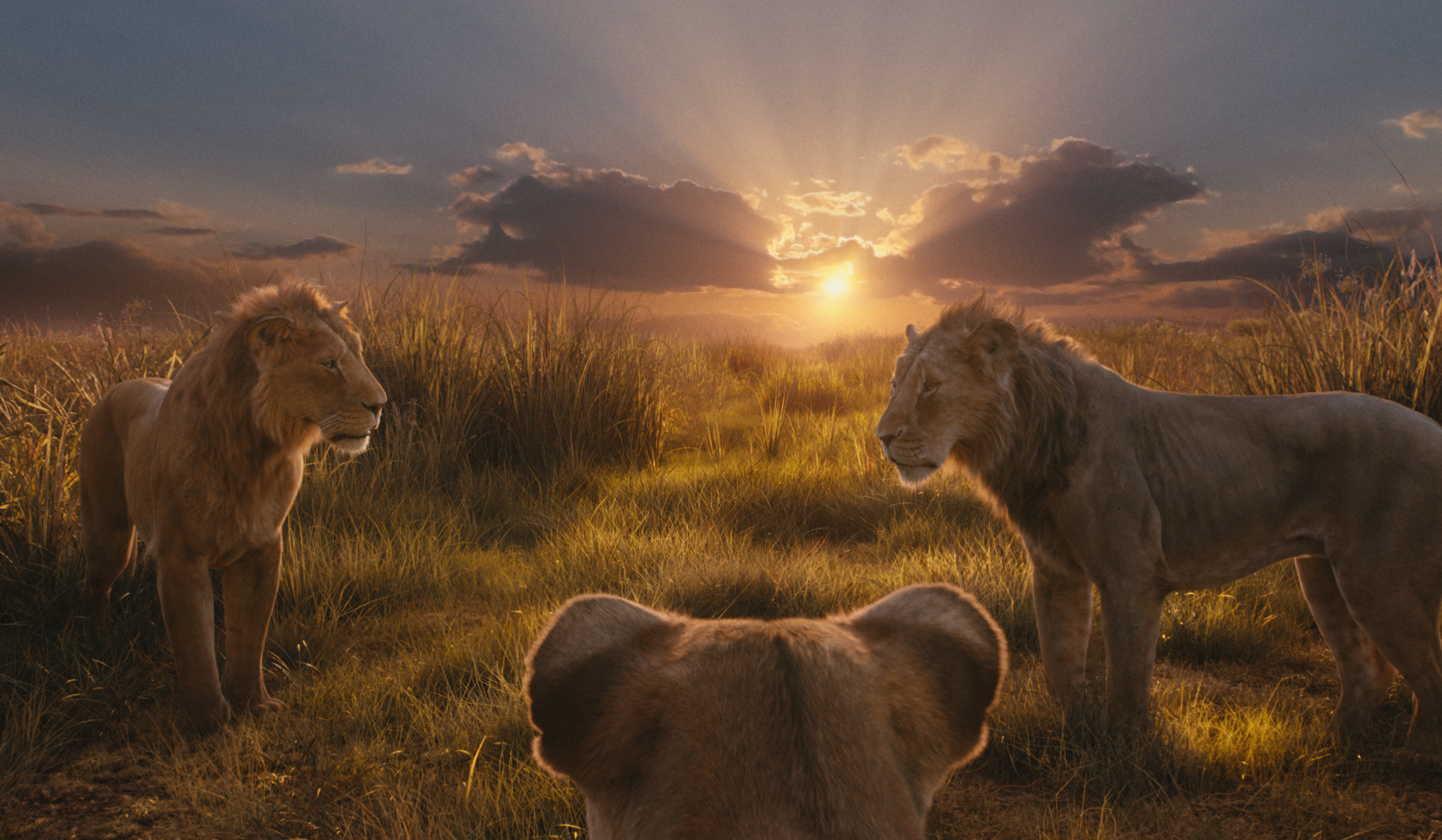 Το Mufasa είναι το Lion King της νέας εποχής Το Mufasa είναι το Lion King της νέας εποχής