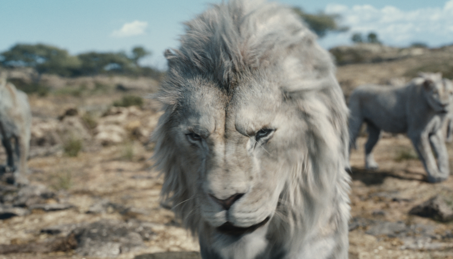 Το Mufasa είναι το Lion King της νέας εποχής Το Mufasa είναι το Lion King της νέας εποχής