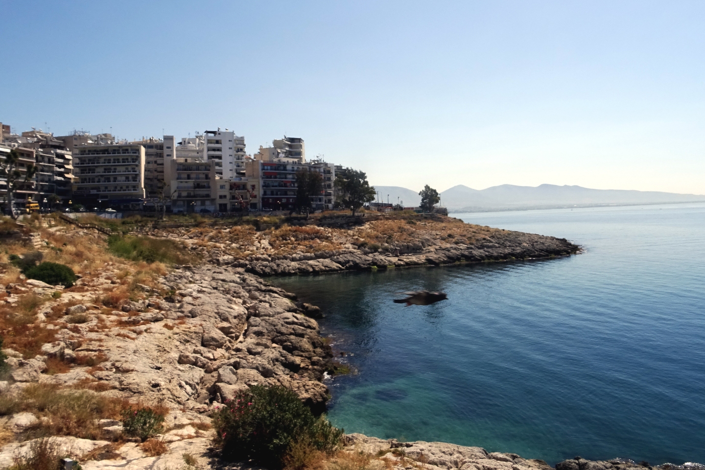 Μεταμόρφωση του παραλιακού μετώπου του Πειραιά Βιοκλιματική ανάπλαση της Ακτής Θεμιστοκλέους: Μεταμόρφωση του παραλιακού μετώπου του Πειραιά