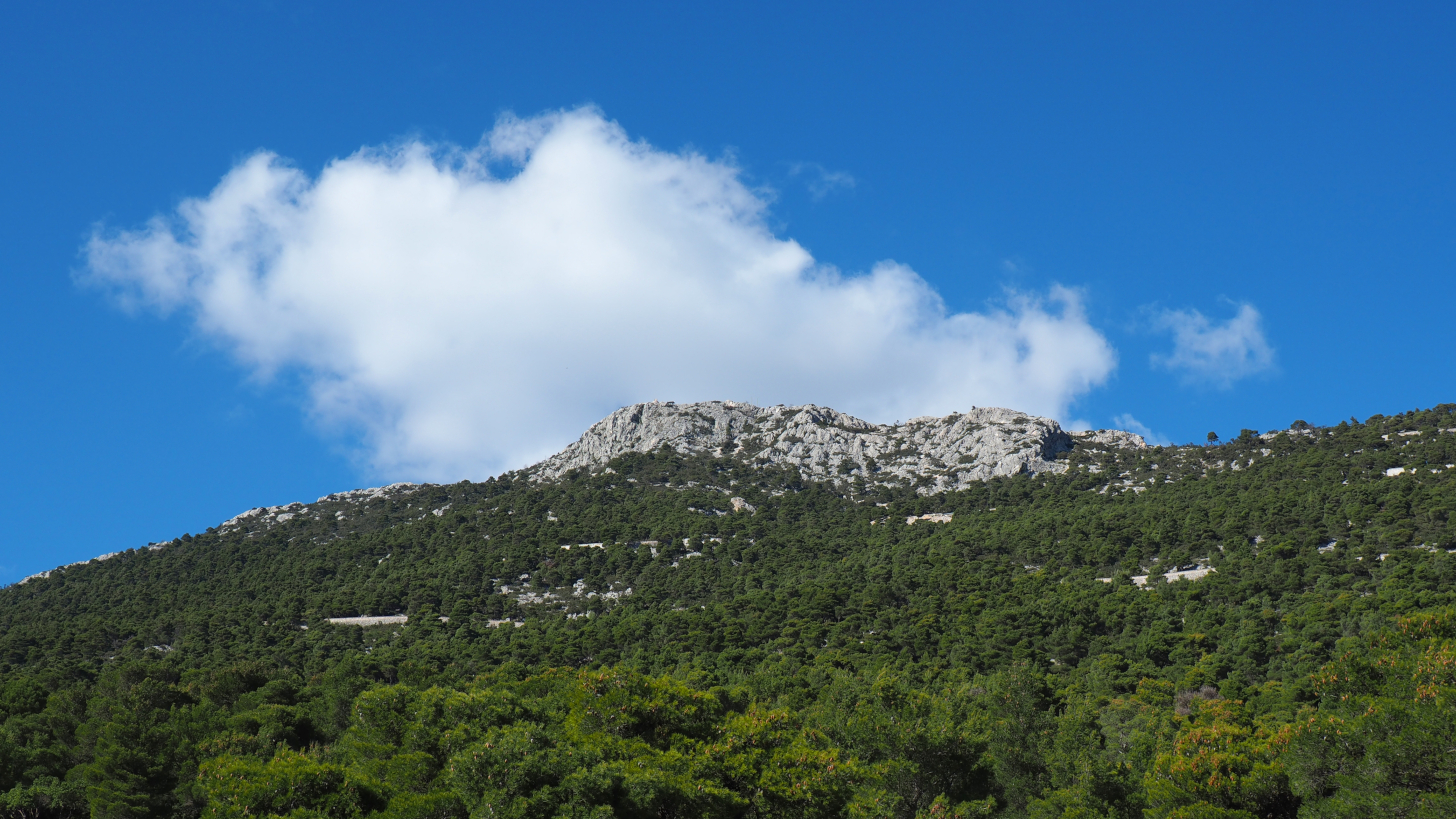 Λύκοι στην Πάρνηθα: Για ποιο λόγο εκφράζουν άποψη κυνηγετικές οργανώσεις; | Intro News